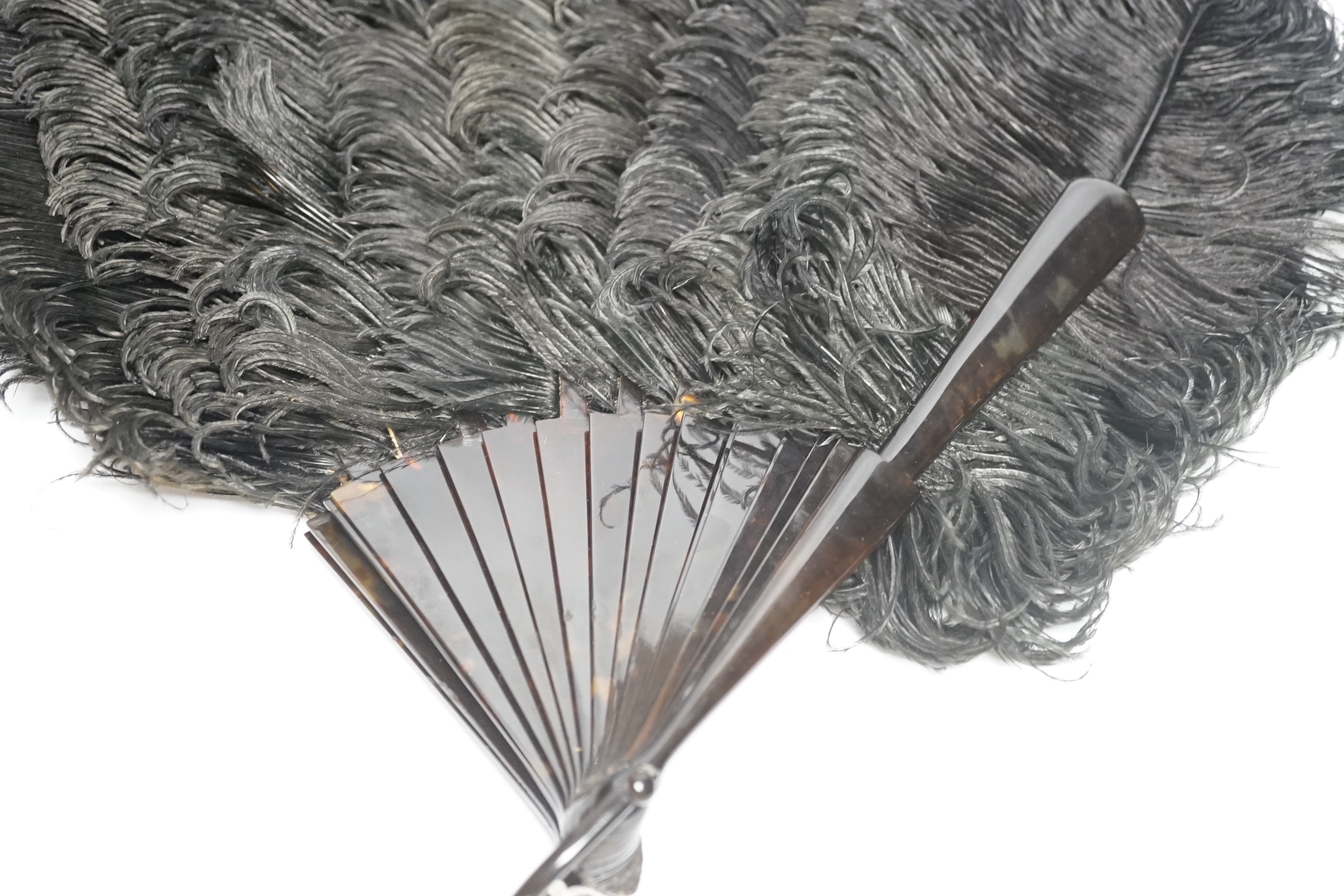 A large ostrich feather and faux tortoiseshell fan